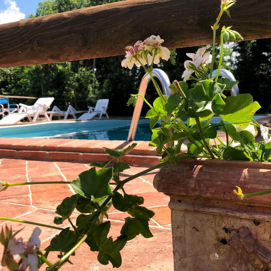 Villa Magda Todi Eksteriør billede